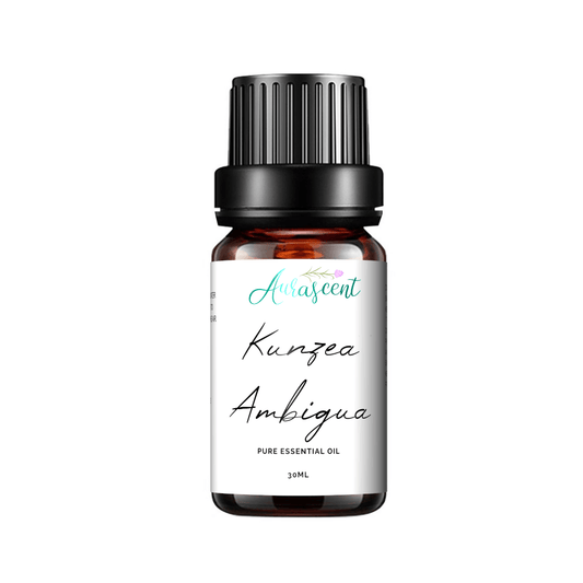 Australian Kunzea Ambigua Essential Oil - 30 ml-0