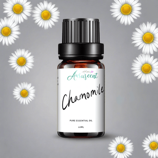 Chamomile Essential Oil - 10ml-0