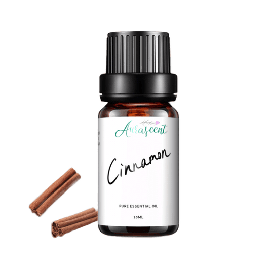 Cinnamon Essential Oil - 10ml-0