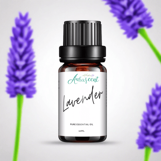 Lavender Essential Oil - 10ml-0