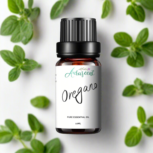 Oregano Essential Oil - 10ml-0